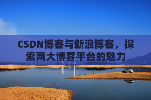 CSDN博客与新浪博客,探索两大博客平台的魅力