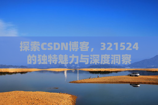 探索CSDN博客，321524的独特魅力与深度洞察